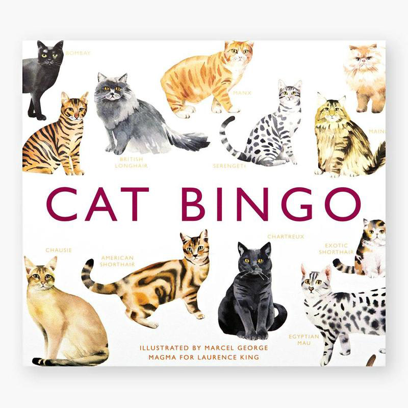 cat-poezen-bingo-laurence-king-publishing