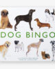 dog-honden-bingo-laurence-king-publishing