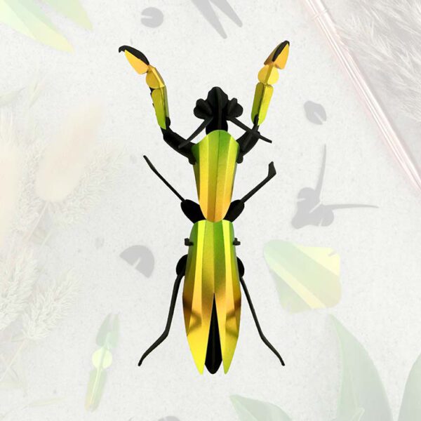 assembli-bidsprinkhaan-praying-mantis-mango