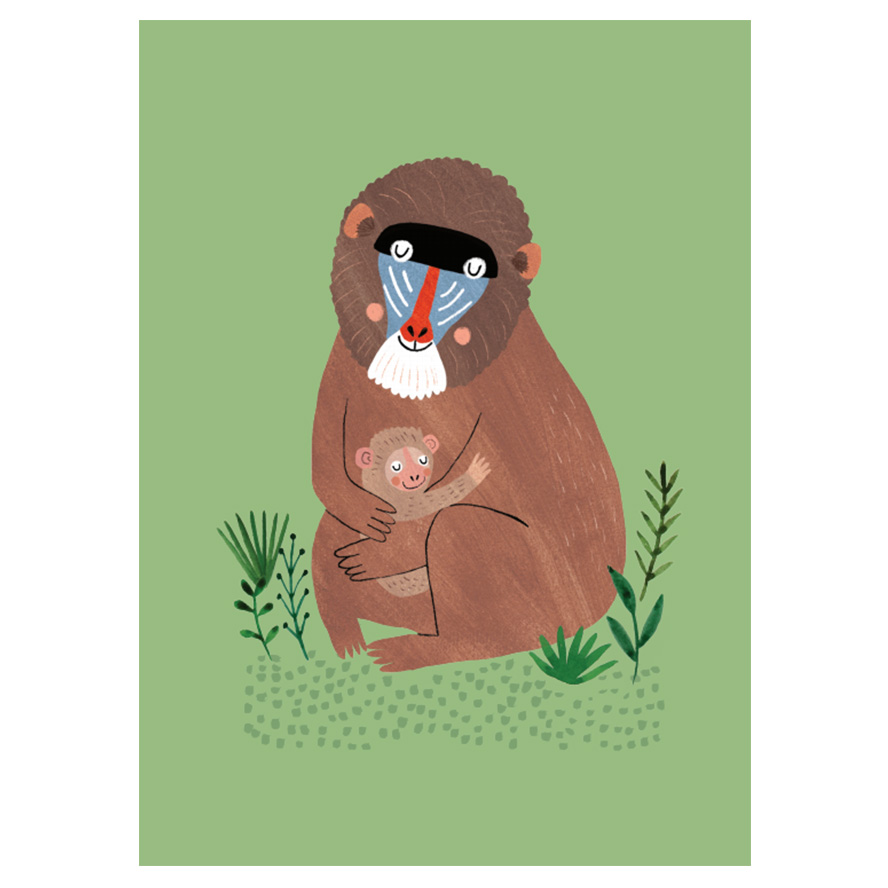 mandril-and-cub-petit-monkey