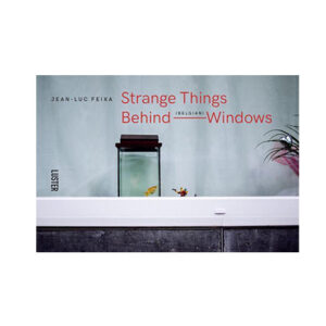 strange-things-behind-belgian-windows