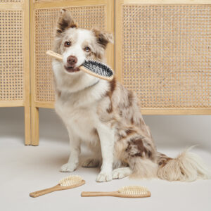 pawness-vegan-wooden-nylon-dog-brush