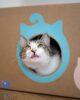 badala-sticker-set-cat-house