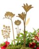 another-studio-plant-brass-blooms