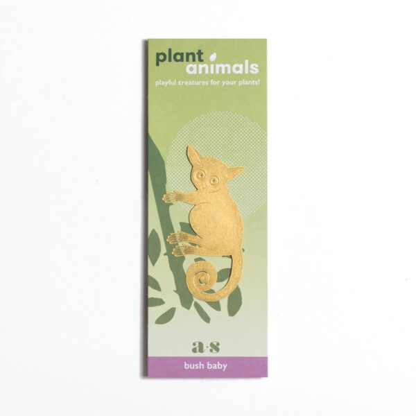 another-studio-plant-animals-galago
