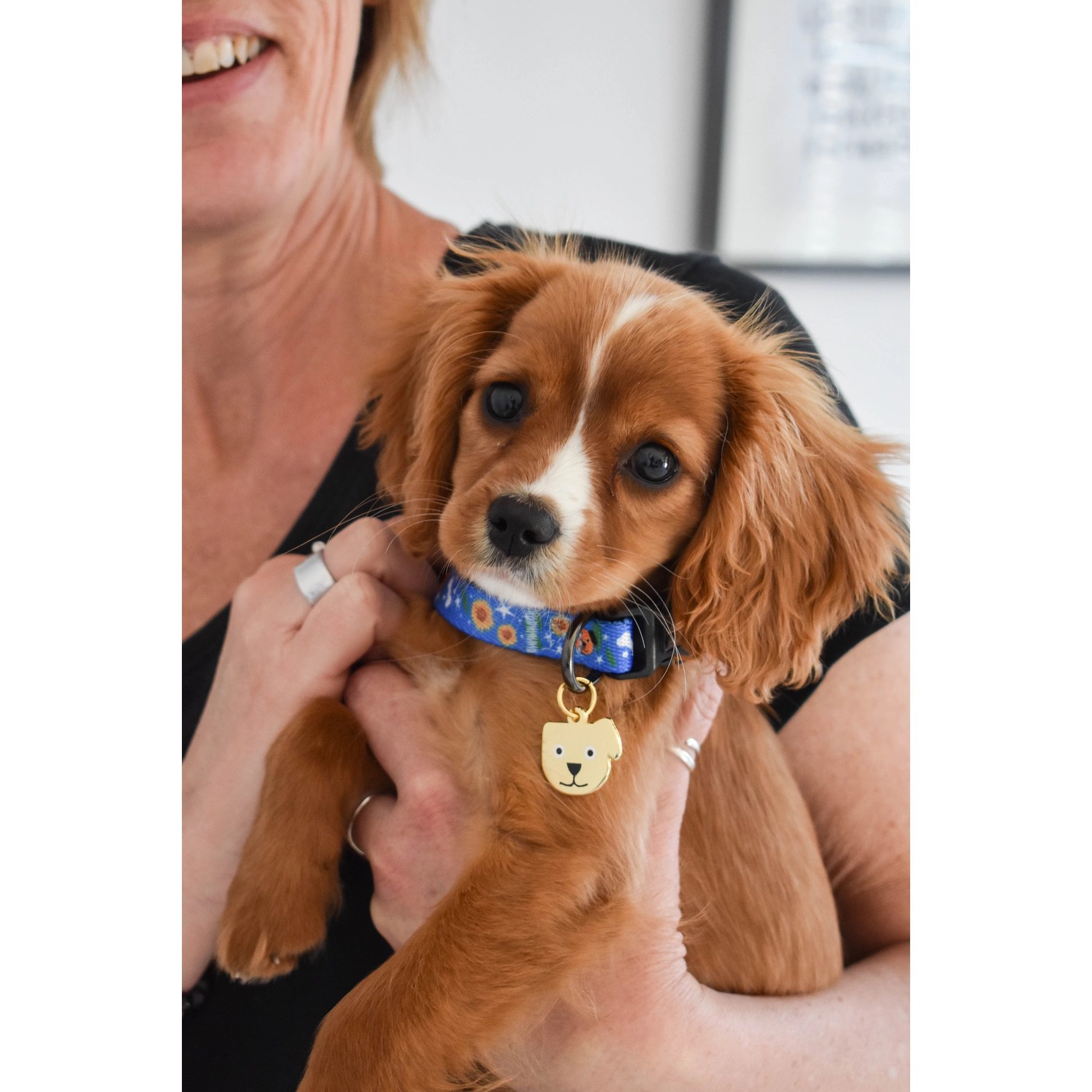 niaski-honden-artist-halsband-van-dog