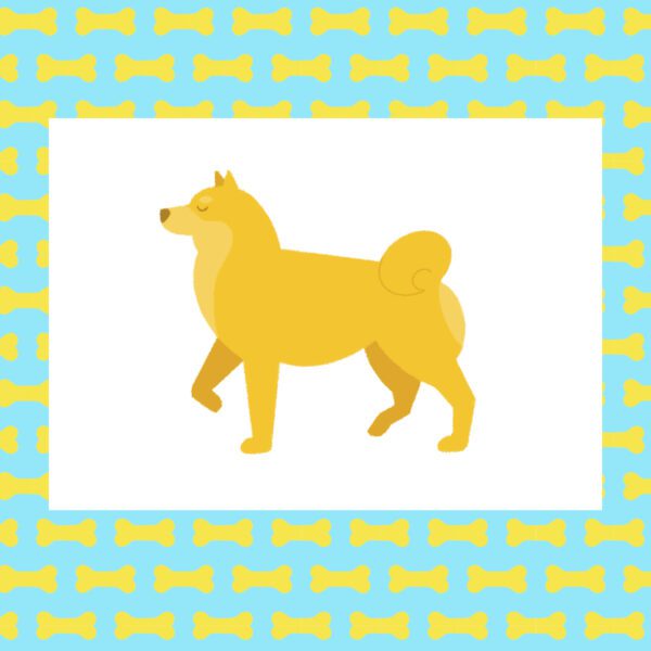 pup store kaart shinainu