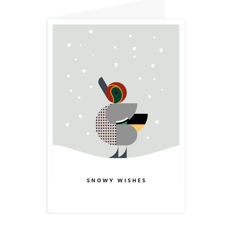 et-van-4-eendje-kerstkaarten-snowy-wishes