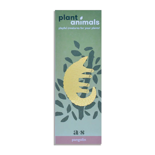 another-studio-plant-animals-pangolin
