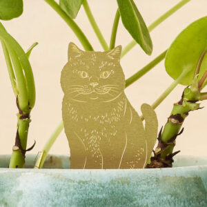 another-studio-plant-animals-cat