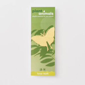 another-studio-plant-animals-lunar-moth
