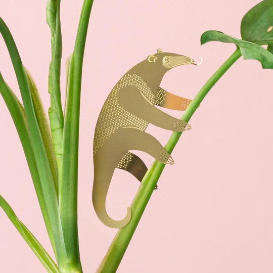 another-studio-plant-animals-anteater