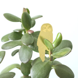 another studio plant animal