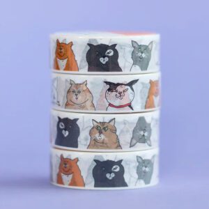 Eat Mielies Washi tape cats