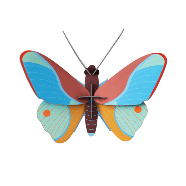 claudina butterfly