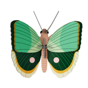 fern striped butterfly