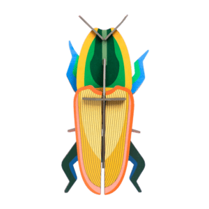 madagascar beetle