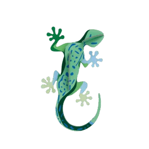 Studio Roof - Gecko