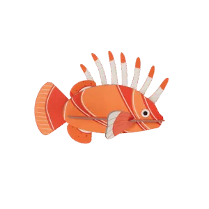 Studio Roof - Lionfish
