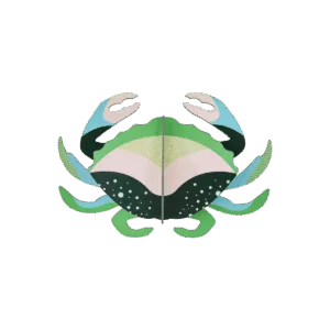Studio Roof - Mini Crab