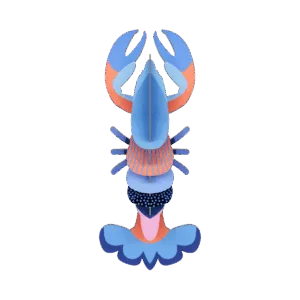 Studio Roof - Mini Lobster
