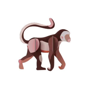 Studio Roof - Monkey
